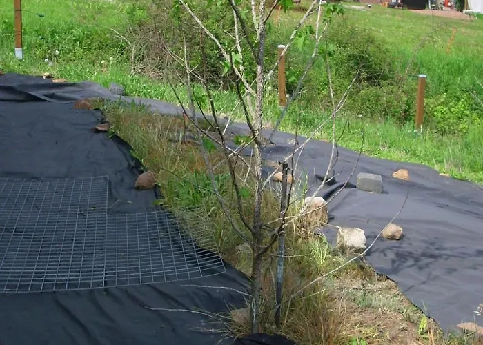 By Interhome Apartamento Trubenhausen